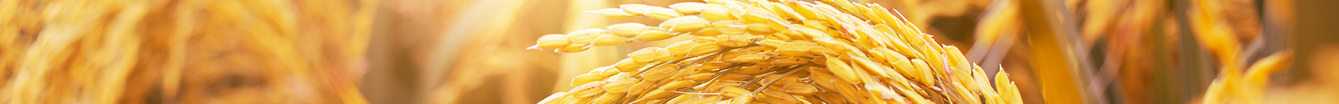 安徽聯河股份有限公司